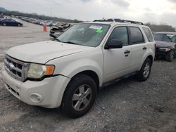 Salvage cars for sale at Madisonville, TN auction: 2011 Ford Escape XLT