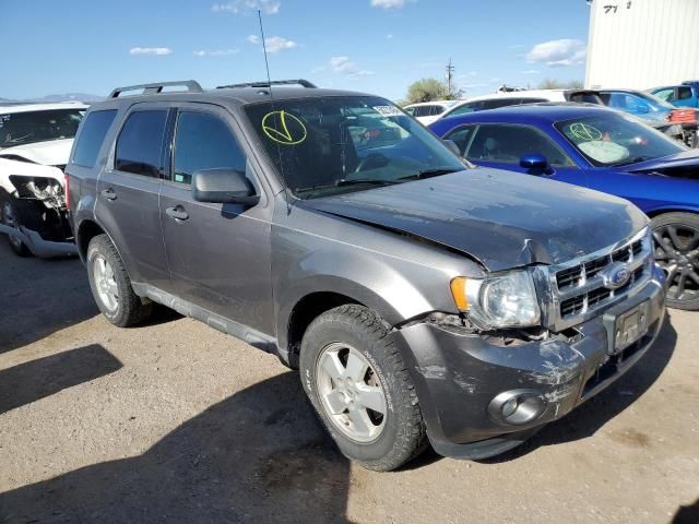 2011 Ford Escape XLT