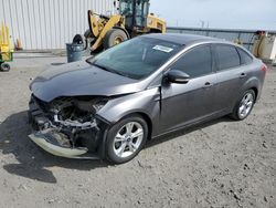 Salvage cars for sale at Airway Heights, WA auction: 2014 Ford Focus SE