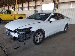 Salvage cars for sale at Phoenix, AZ auction: 2022 Hyundai Sonata SE