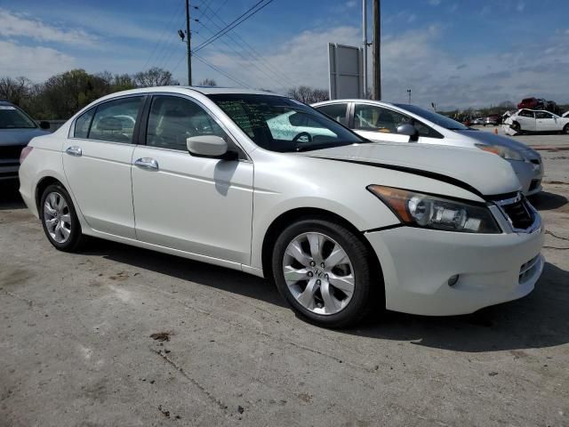 2010 Honda Accord EXL