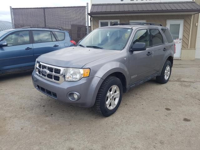 2008 Ford Escape XLT