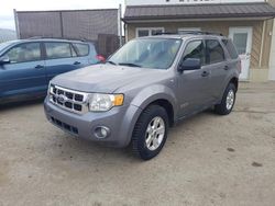 Salvage cars for sale from Copart Montreal Est, QC: 2008 Ford Escape XLT