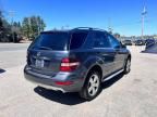 2010 Mercedes-Benz ML 350 4matic