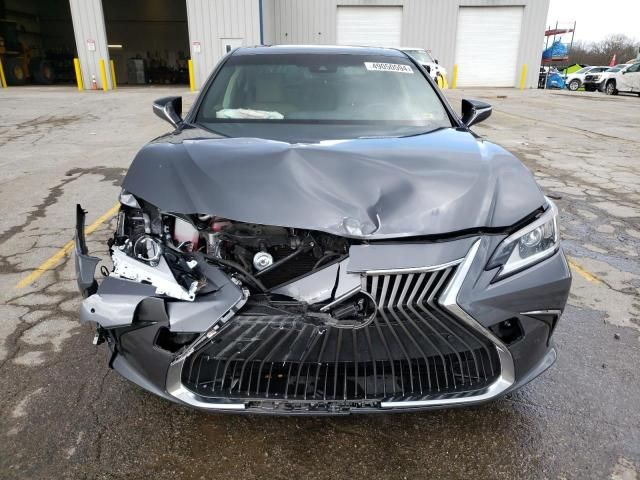 2019 Lexus ES 300H