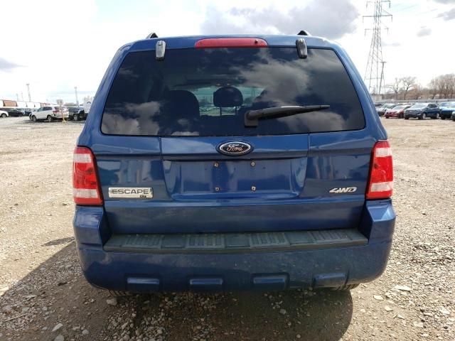 2008 Ford Escape XLT