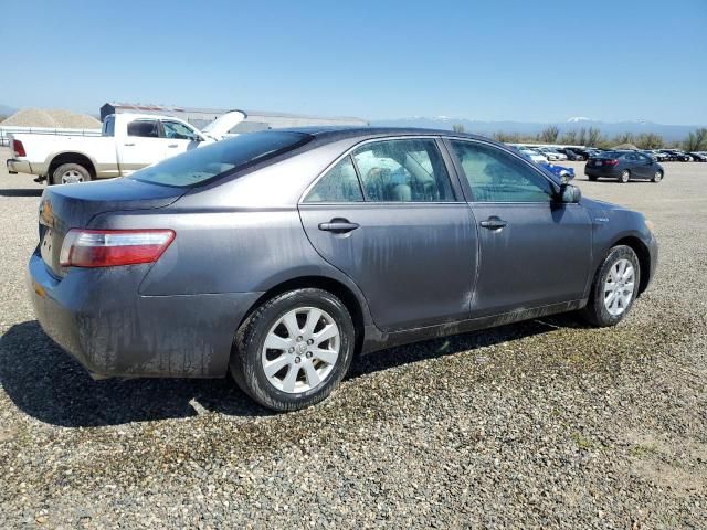 2009 Toyota Camry Hybrid