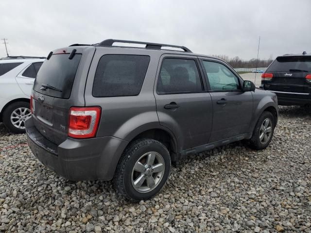 2011 Ford Escape XLT