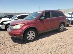 Vehiculos salvage en venta de Copart Phoenix, AZ: 2011 Honda CR-V SE