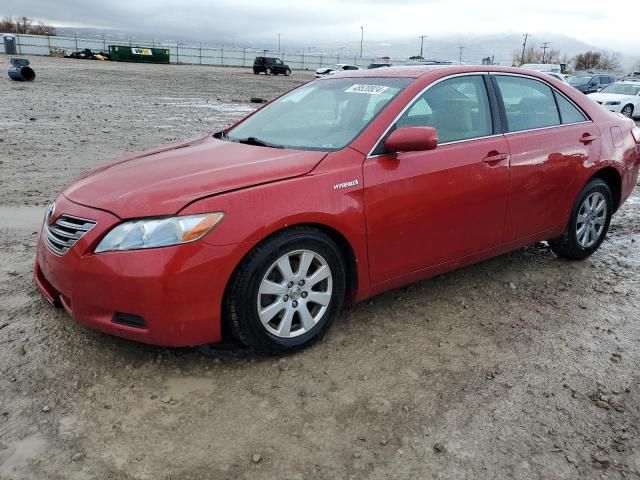 2007 Toyota Camry Hybrid