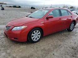 Toyota Camry Hybrid salvage cars for sale: 2007 Toyota Camry Hybrid