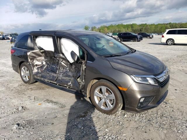 2019 Honda Odyssey EXL