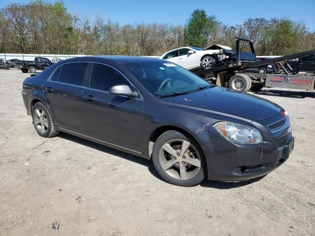 2011 Chevrolet Malibu 1LT