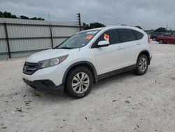 Salvage cars for sale at New Braunfels, TX auction: 2014 Honda CR-V EXL