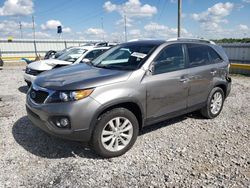 Salvage cars for sale from Copart Lawrenceburg, KY: 2011 KIA Sorento EX
