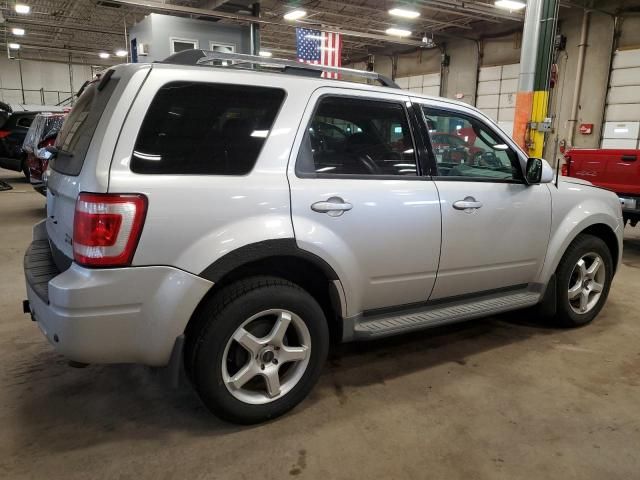 2010 Ford Escape Limited