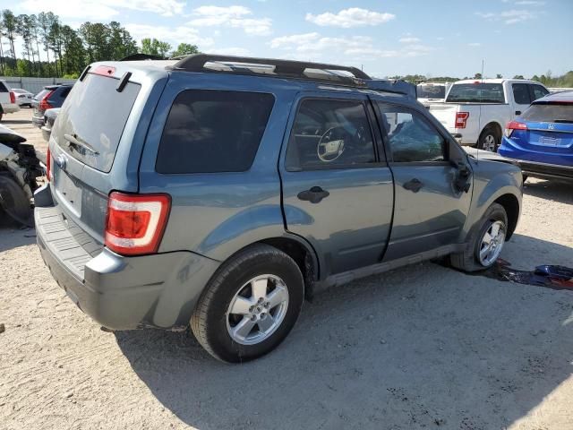 2011 Ford Escape XLT