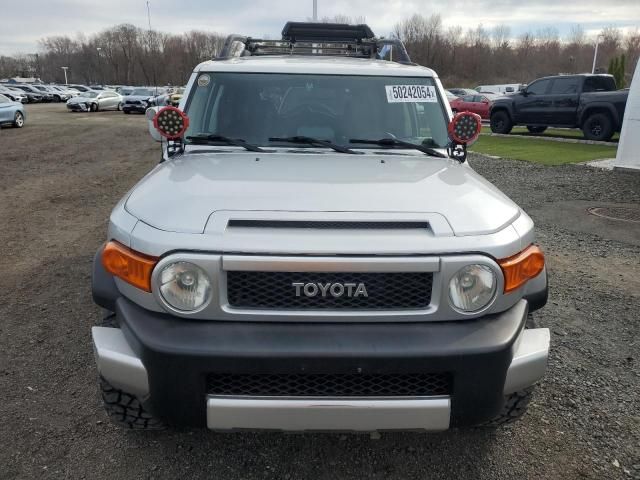 2007 Toyota FJ Cruiser