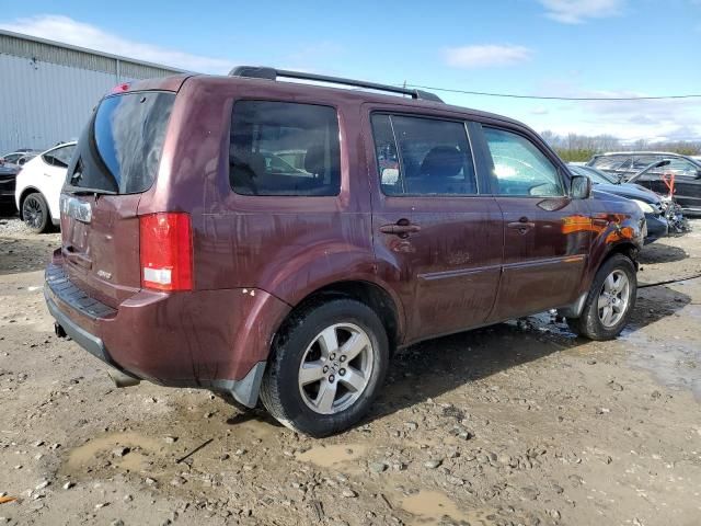 2009 Honda Pilot EXL