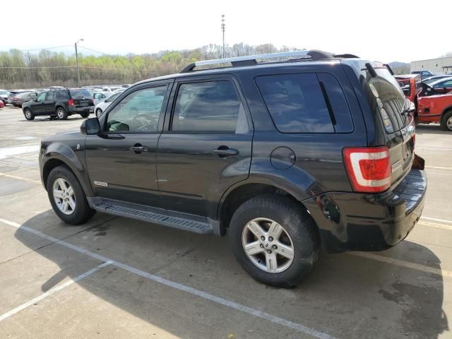 2008 Ford Escape HEV