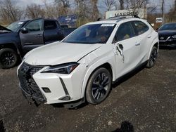 Salvage cars for sale from Copart Marlboro, NY: 2023 Lexus UX 250H Premium
