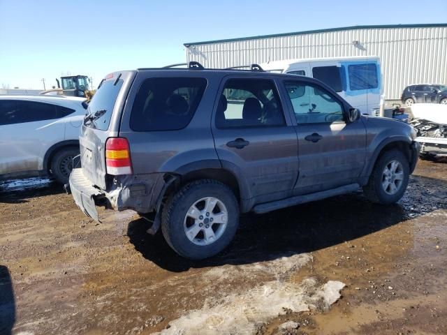 2006 Ford Escape XLT