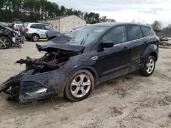 Ford salvage cars for sale: 2014 Ford Escape SE