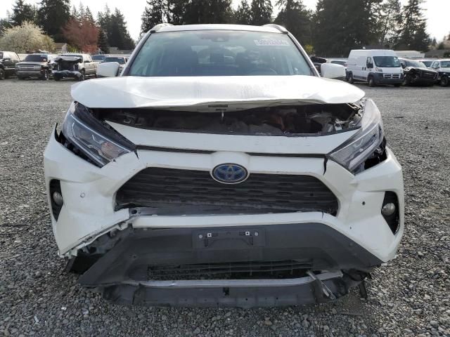 2021 Toyota Rav4 XLE Premium