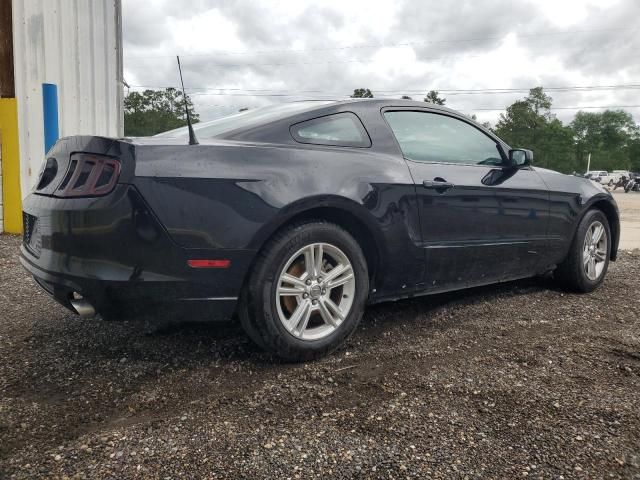 2013 Ford Mustang