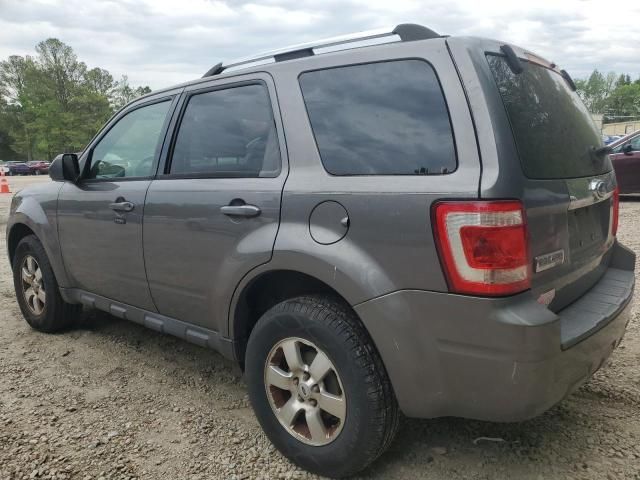 2009 Ford Escape Limited