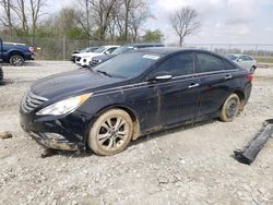 Salvage cars for sale at Cicero, IN auction: 2012 Hyundai Sonata SE