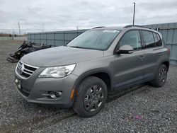 Salvage cars for sale from Copart Ontario Auction, ON: 2009 Volkswagen Tiguan SE