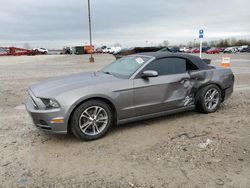 Salvage cars for sale at Indianapolis, IN auction: 2014 Ford Mustang