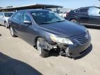 2009 Toyota Camry Hybrid