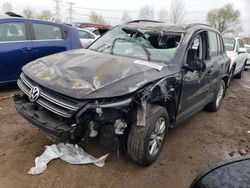 Salvage cars for sale at Elgin, IL auction: 2016 Volkswagen Tiguan S