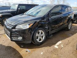 Vehiculos salvage en venta de Copart Elgin, IL: 2014 Ford Escape SE