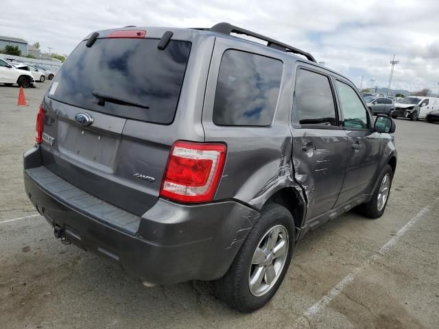 2009 Ford Escape XLT