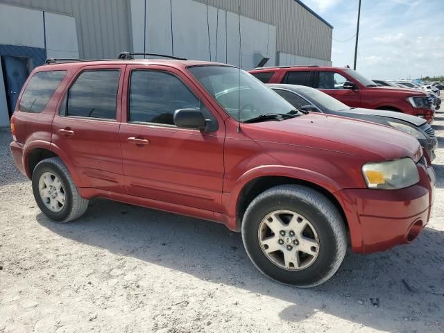 2006 Ford Escape Limited