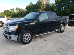 Salvage cars for sale at Ocala, FL auction: 2013 Ford F150 Supercrew