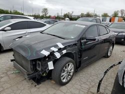 Salvage cars for sale at Bridgeton, MO auction: 2019 Ford Fusion SE