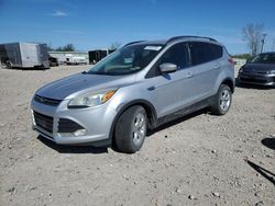 Ford Escape se Vehiculos salvage en venta: 2014 Ford Escape SE