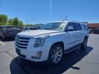 2016 Cadillac Escalade ESV Luxury