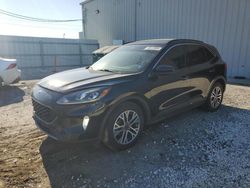 Salvage cars for sale at Jacksonville, FL auction: 2020 Ford Escape SEL