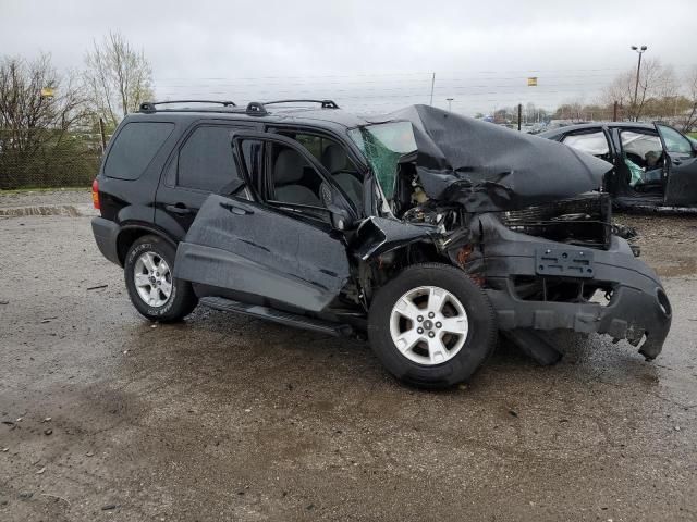 2007 Ford Escape XLT