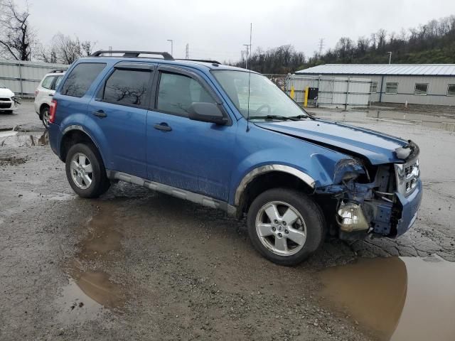 2009 Ford Escape XLT