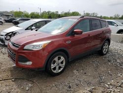 Run And Drives Cars for sale at auction: 2016 Ford Escape SE