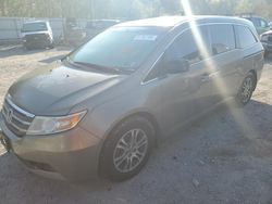 Salvage cars for sale at Hurricane, WV auction: 2013 Honda Odyssey EXL