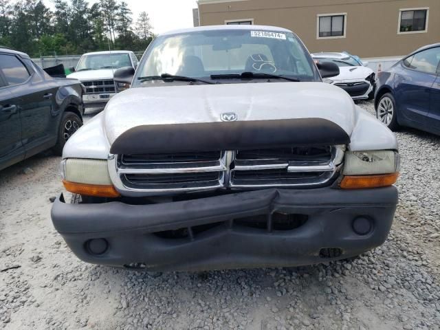 2004 Dodge Dakota SXT