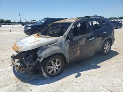 Salvage cars for sale at Arcadia, FL auction: 2012 KIA Sorento Base