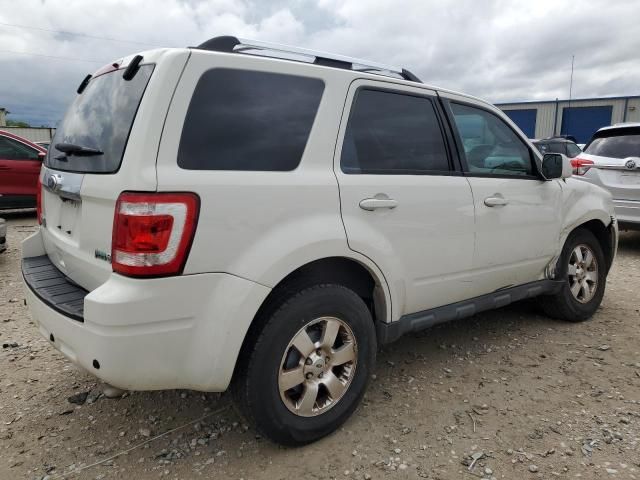 2012 Ford Escape Limited